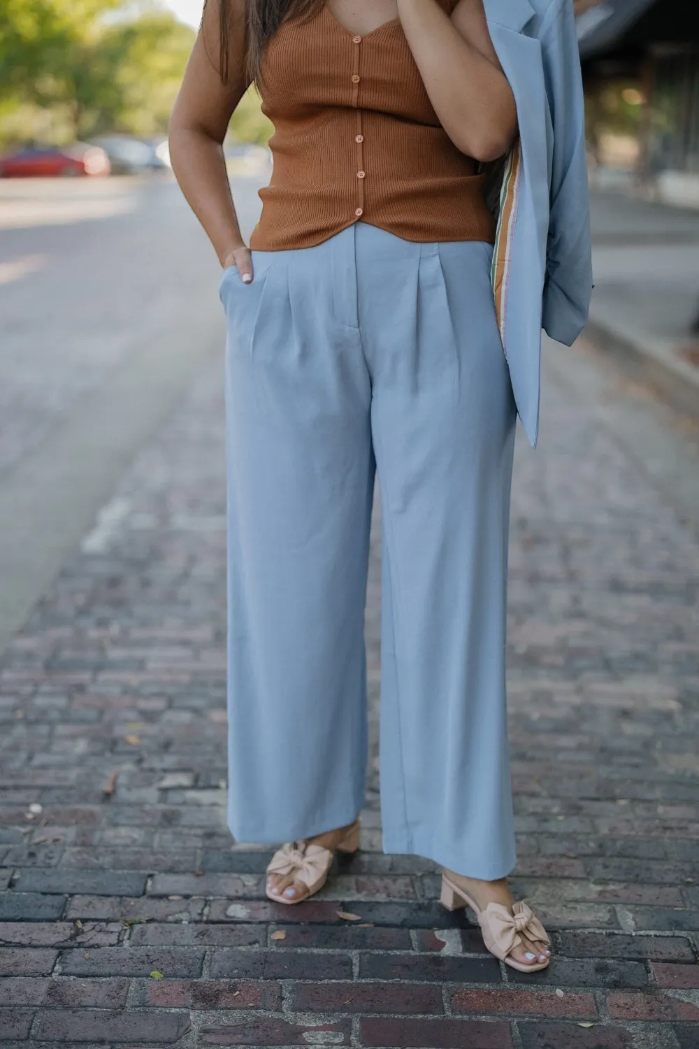 Bethany Dusty Blue Pleated Trousers (XS-3XL)