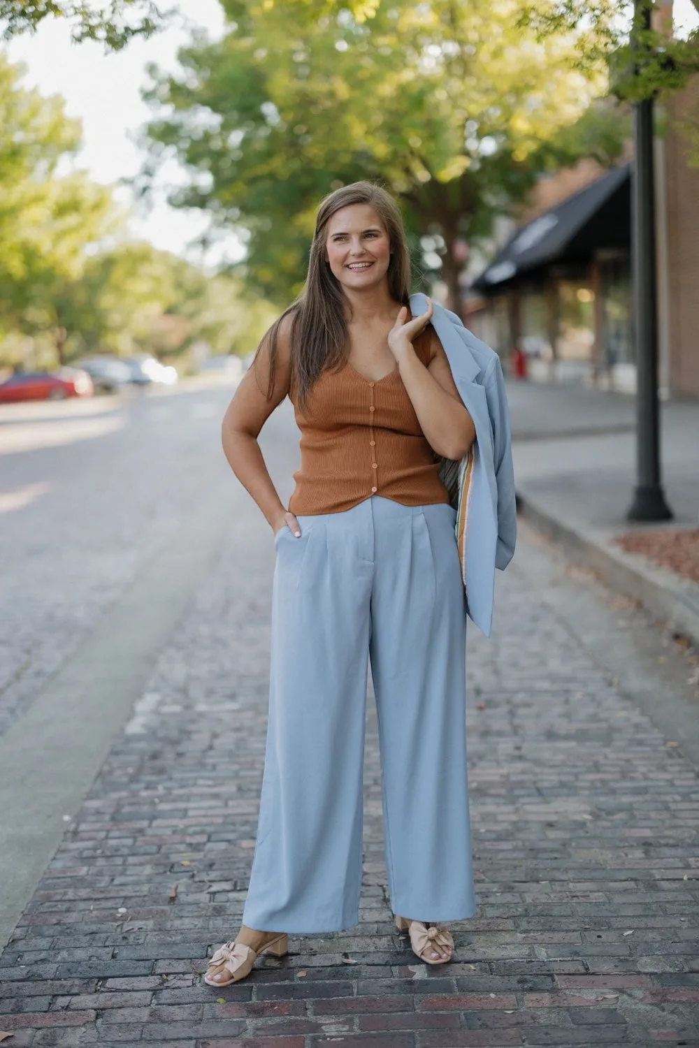 Bethany Dusty Blue Pleated Trousers (XS-3XL)