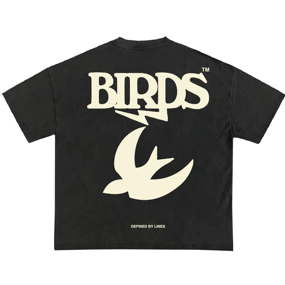 Birds "Day Of The Eagle" Stone Oversized Industrial S/S T-Shirt