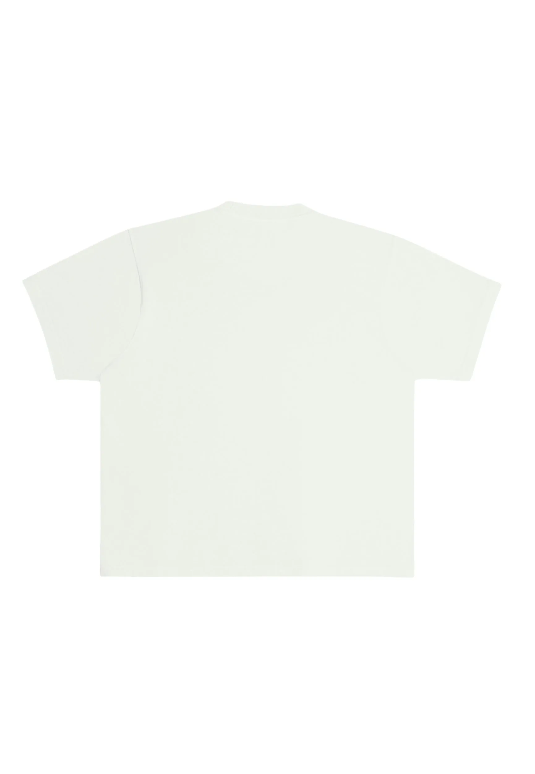 Streetwear Heavyweight Women Short Sleeve - Pistachio